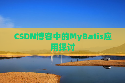 CSDN博客中的MyBatis应用探讨